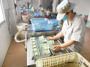 区域优势转化为发展动能 四川打造一批商贸物流特色镇，食品经营焕发新活力